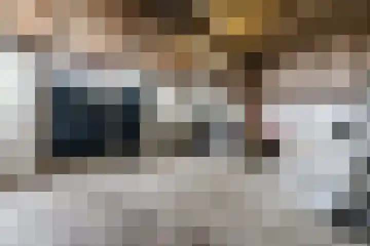 Maneweg 2 Dalfsen thumbnail 43