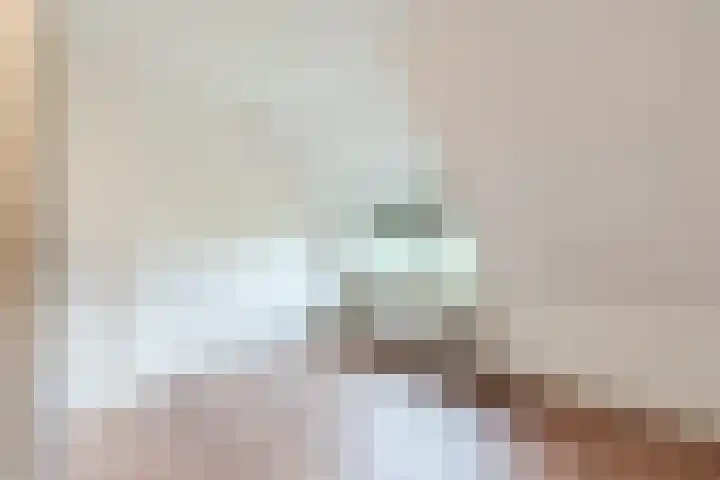 Maneweg 2 Dalfsen thumbnail 47