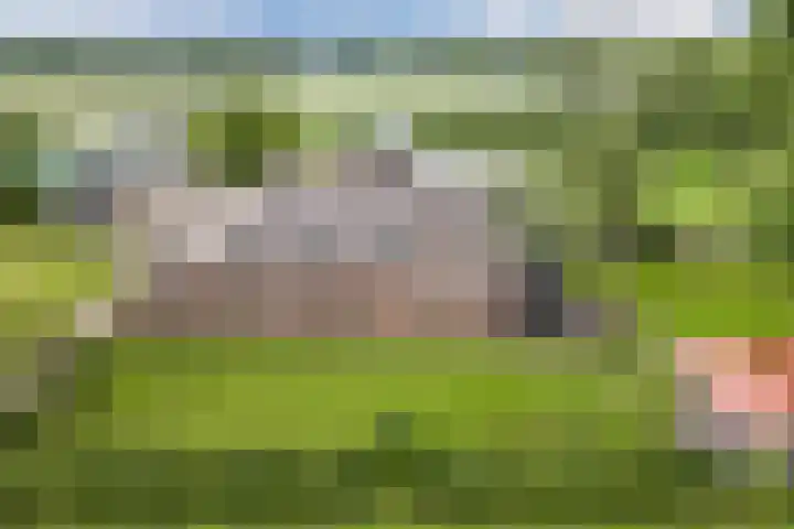 Maneweg 2 Dalfsen thumbnail 49
