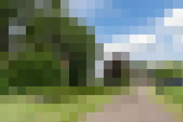 Maneweg 2 Dalfsen thumbnail 5