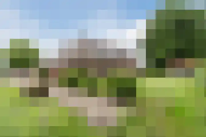 Maneweg 2 Dalfsen thumbnail 50