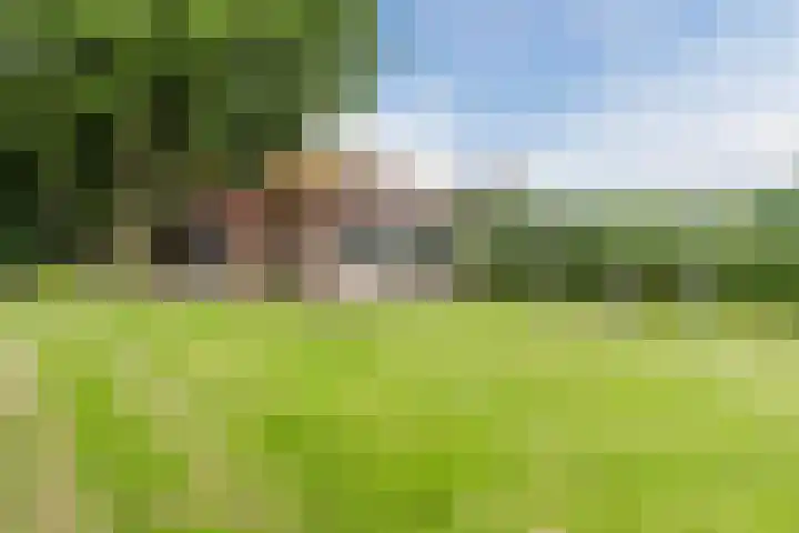 Maneweg 2 Dalfsen thumbnail 51