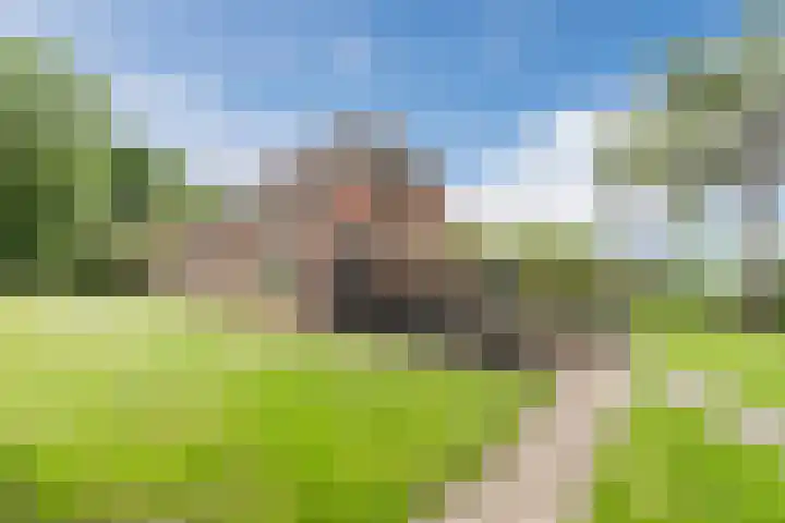Maneweg 2 Dalfsen thumbnail 53