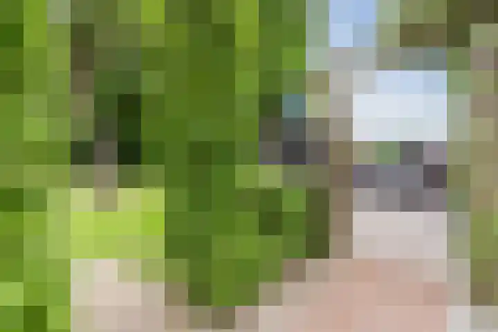 Maneweg 2 Dalfsen thumbnail 55