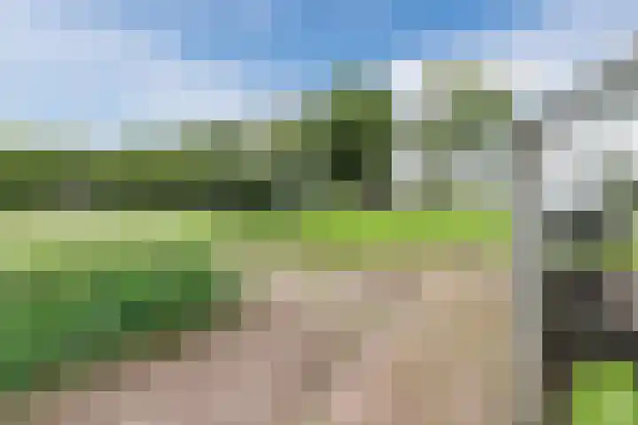 Maneweg 2 Dalfsen thumbnail 56
