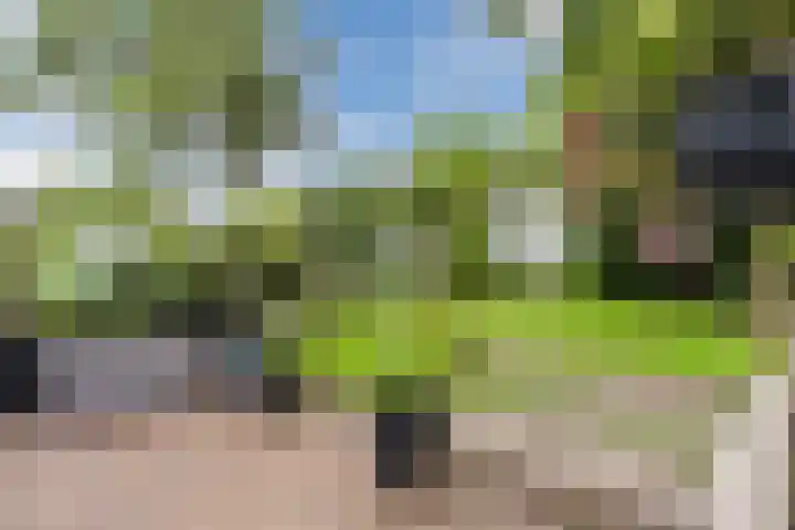 Maneweg 2 Dalfsen thumbnail 58