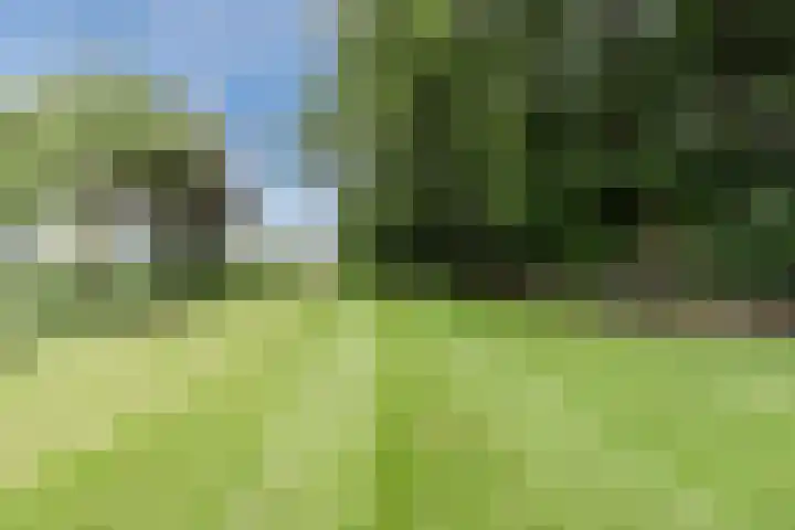 Maneweg 2 Dalfsen thumbnail 59
