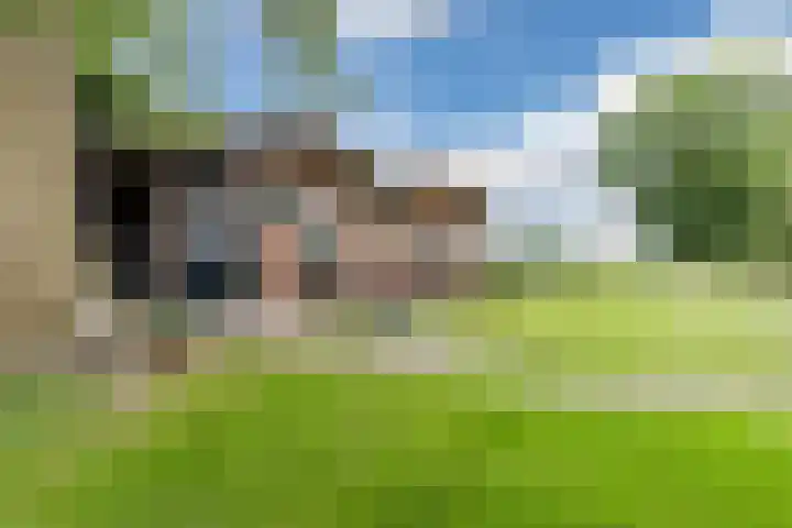 Maneweg 2 Dalfsen thumbnail 61