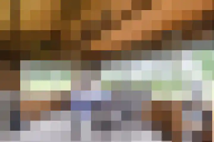 Maneweg 2 Dalfsen thumbnail 62