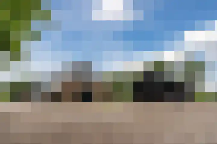 Maneweg 2 Dalfsen thumbnail 64
