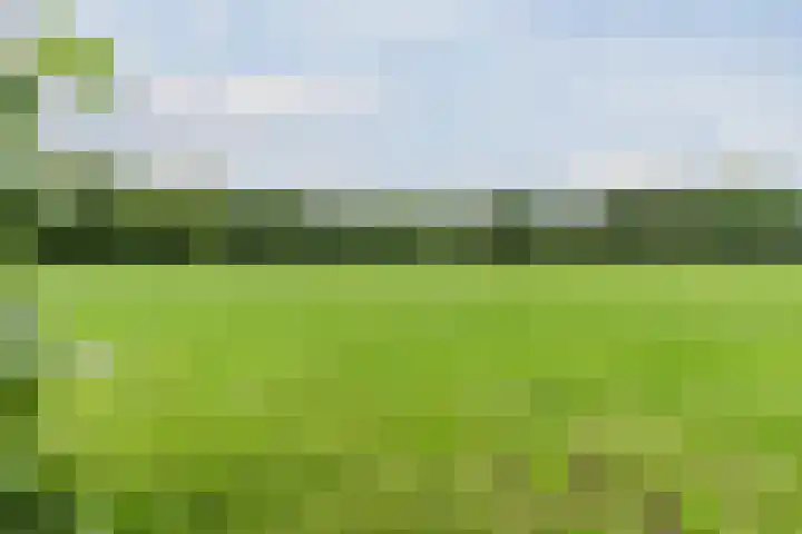 Maneweg 2 Dalfsen thumbnail 66
