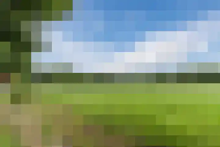 Maneweg 2 Dalfsen thumbnail 68