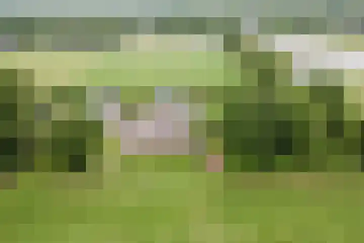 Maneweg 2 Dalfsen thumbnail 69