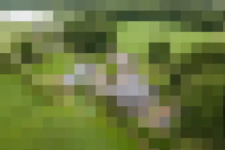 Maneweg 2 Dalfsen thumbnail 70