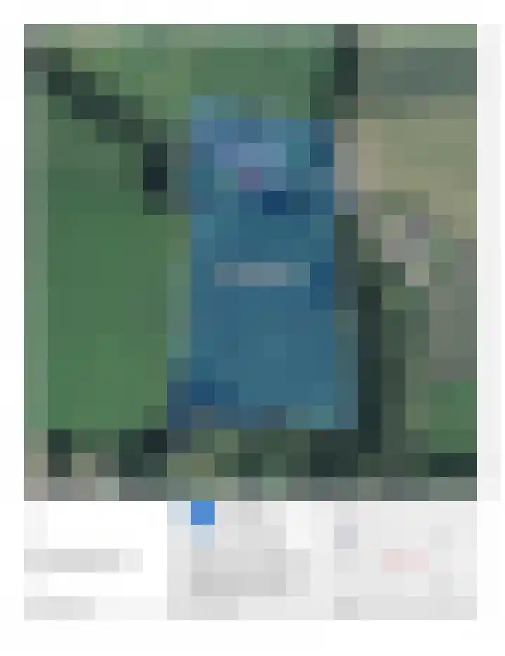Maneweg 2 Dalfsen thumbnail 74