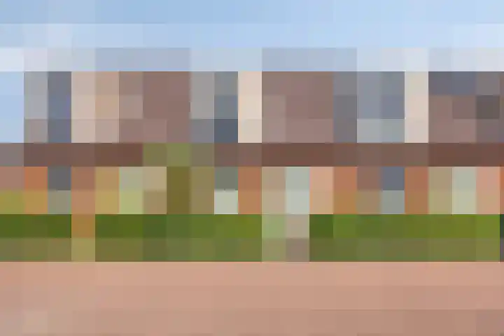 Mangaan 23 Zeewolde
