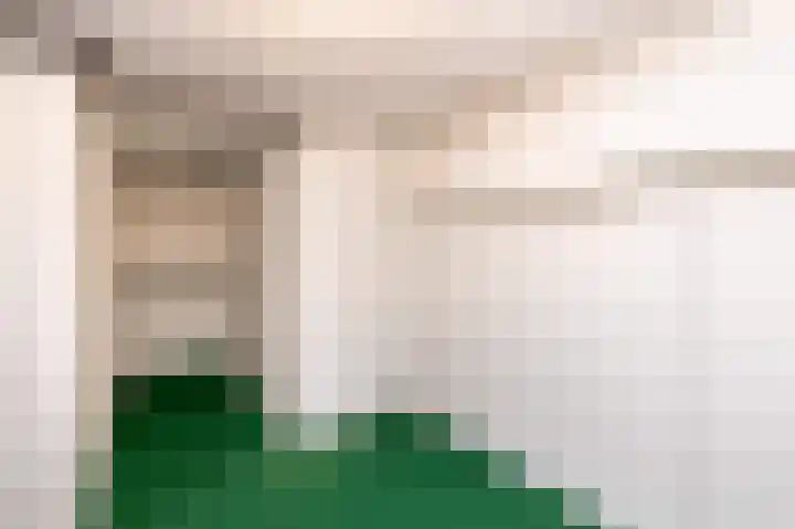 Mangaanstraat 10 Apeldoorn thumbnail 16