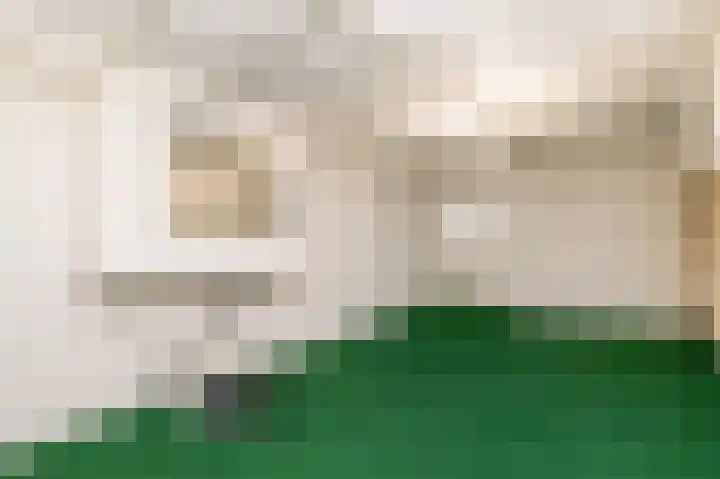Mangaanstraat 10 Apeldoorn thumbnail 18
