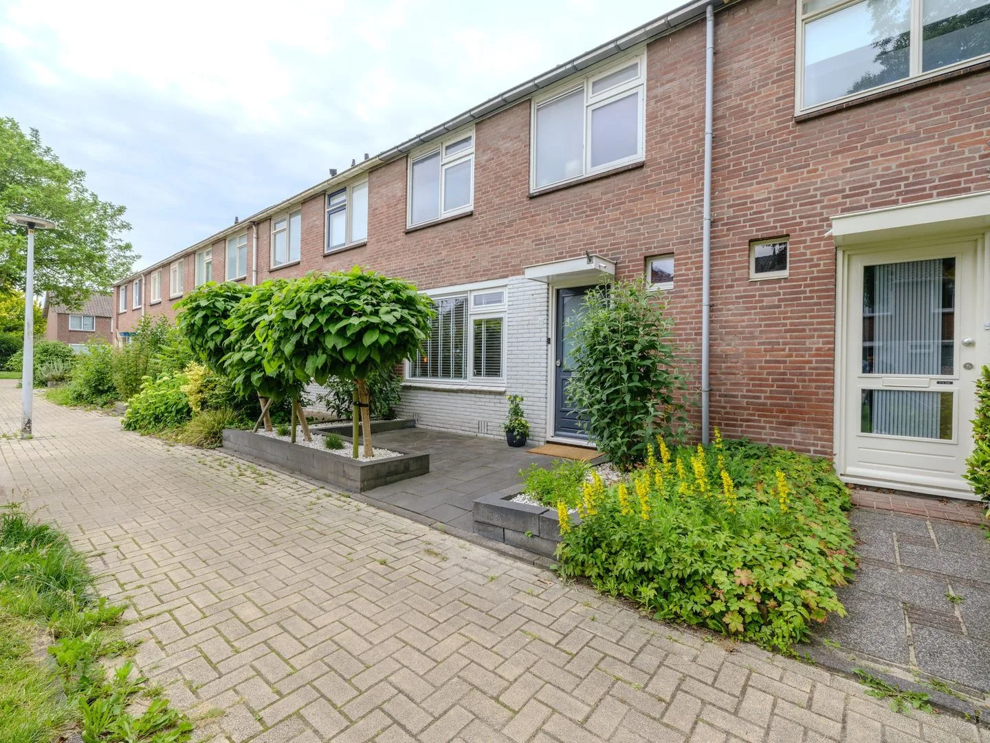 Manger Catsperk 25 Drachten thumbnail 4