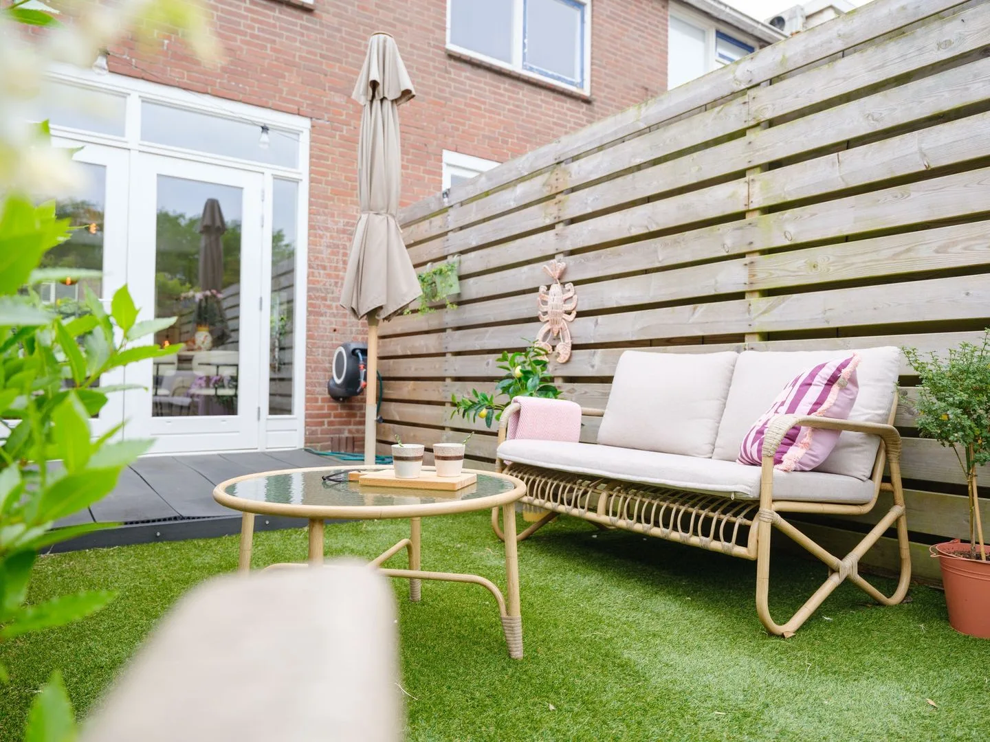 Manger Catsperk 25 Drachten thumbnail 41