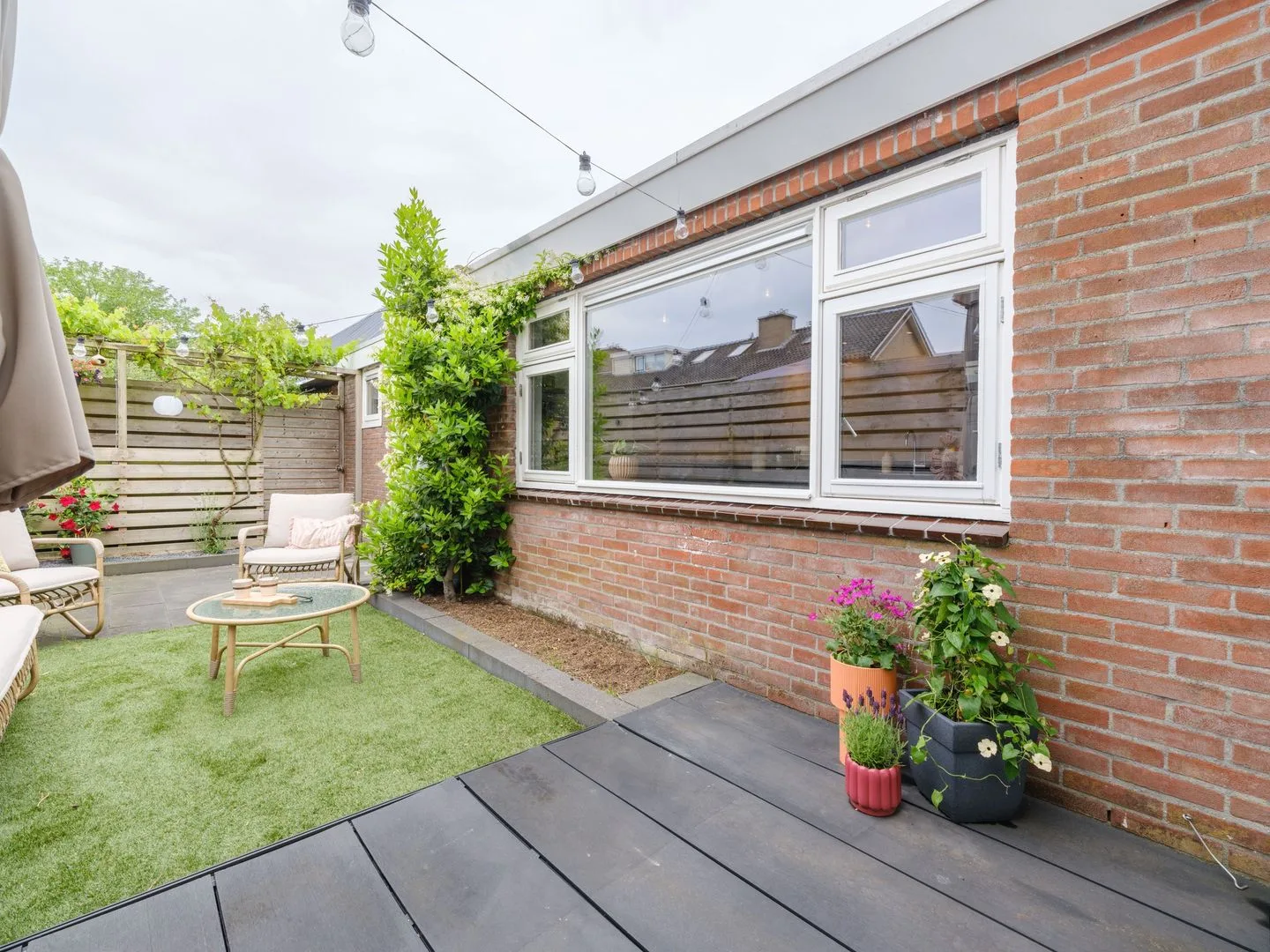 Manger Catsperk 25 Drachten thumbnail 46