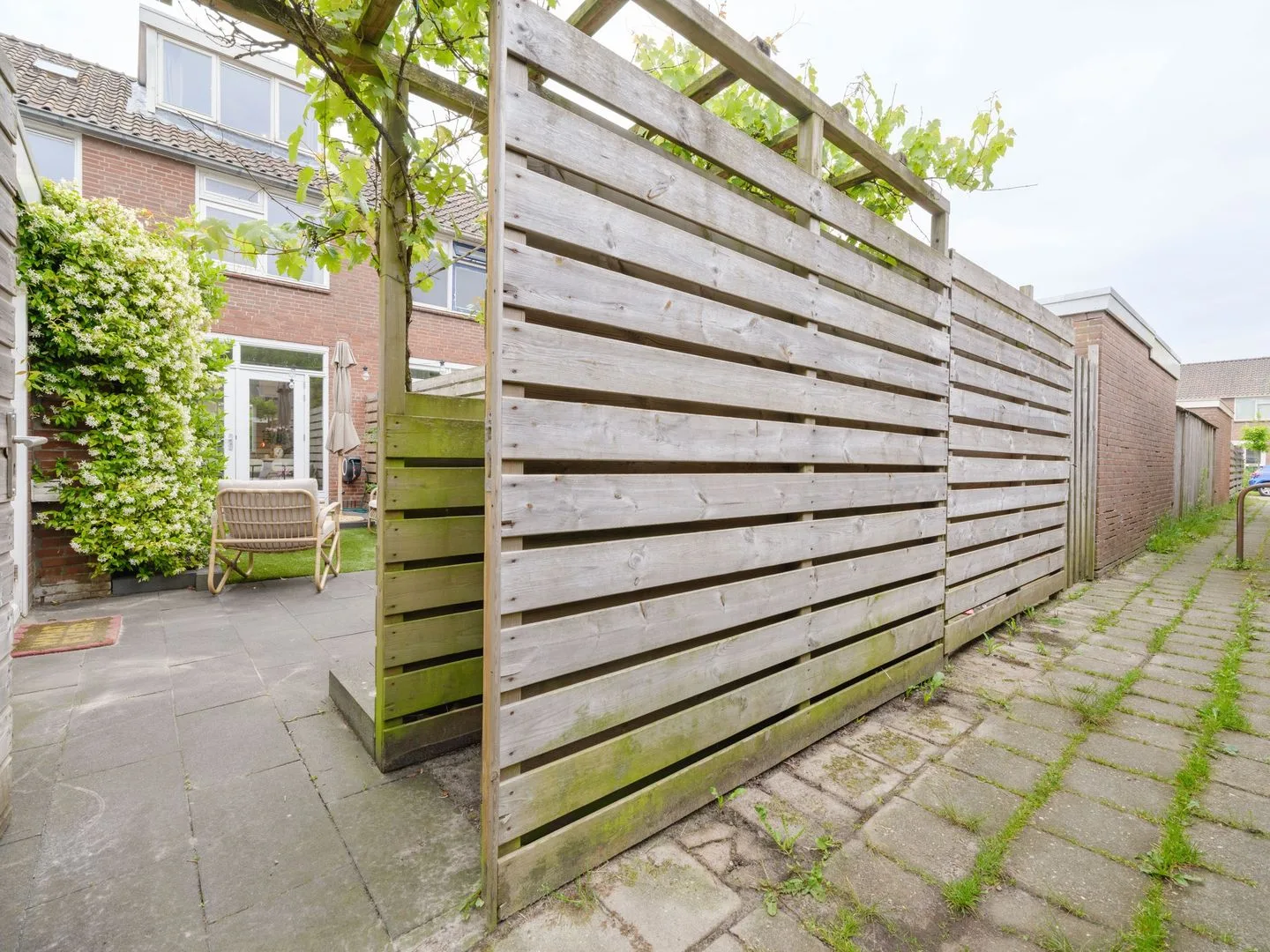 Manger Catsperk 25 Drachten thumbnail 47