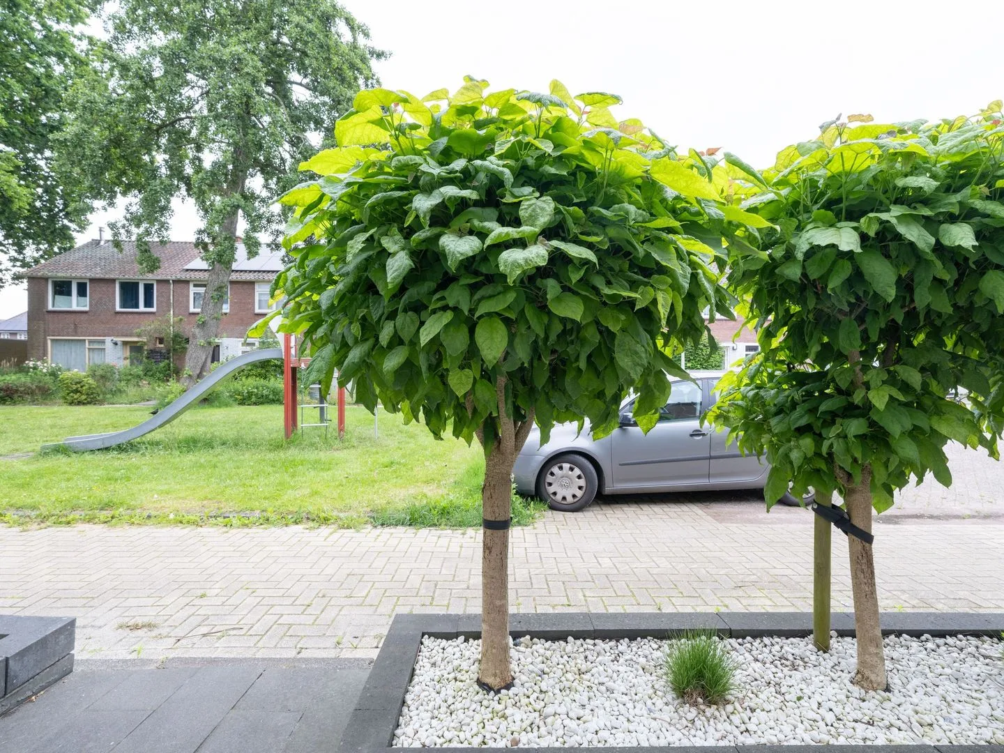 Manger Catsperk 25 Drachten thumbnail 48