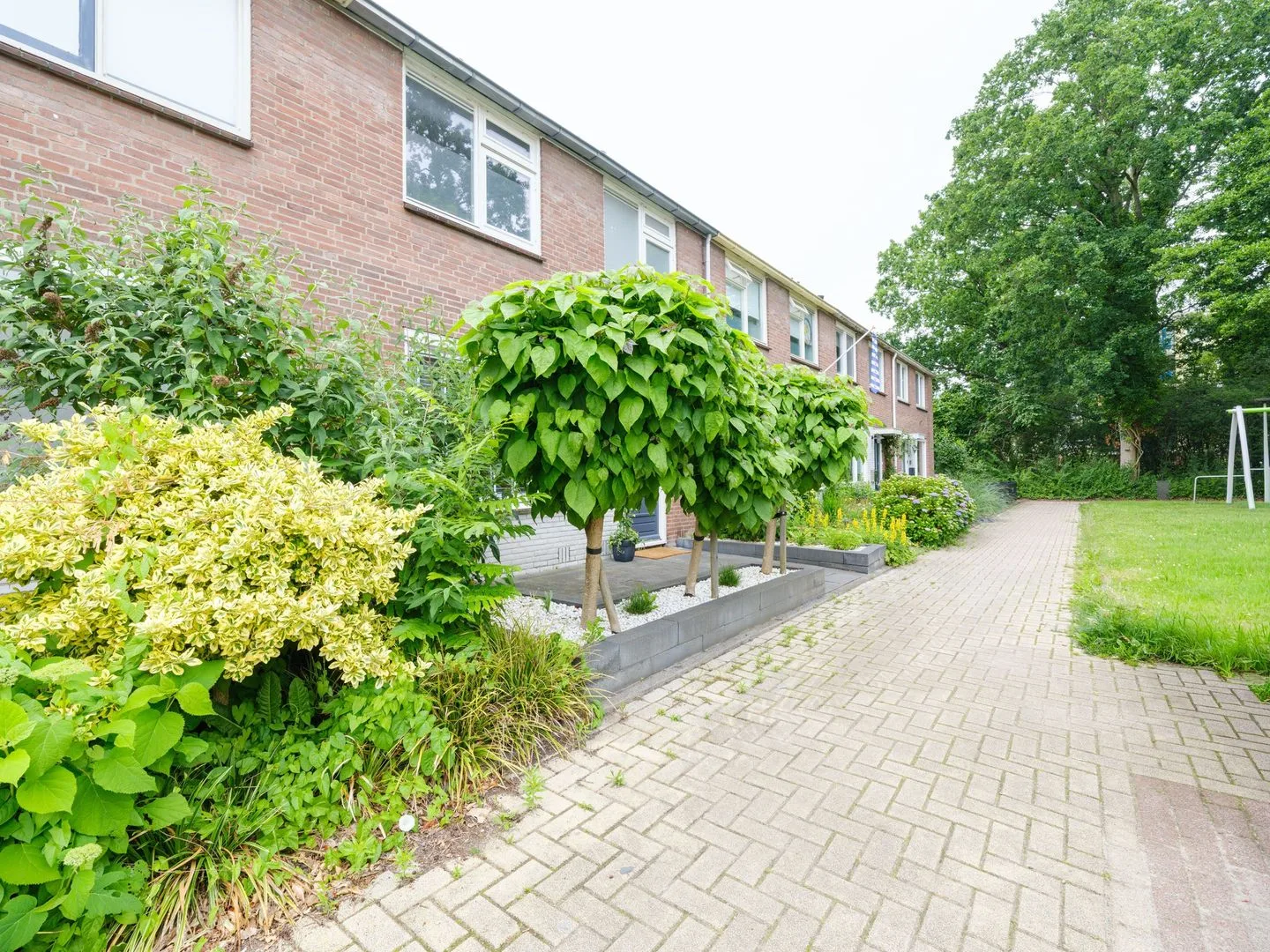 Manger Catsperk 25 Drachten thumbnail 5