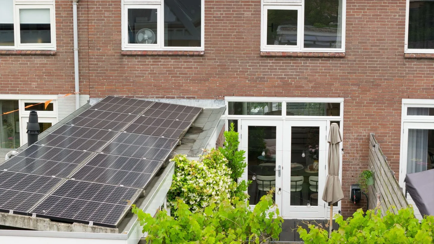 Manger Catsperk 25 Drachten thumbnail 51