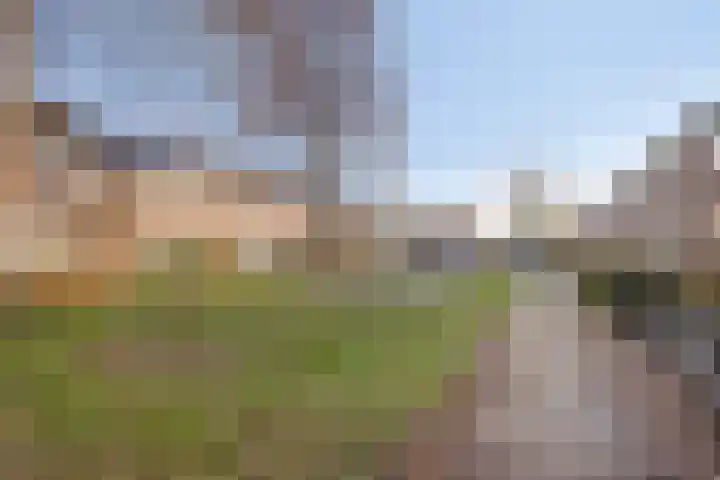 Manger Catsperk 29 Drachten thumbnail 26
