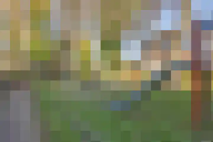 Manger Catsperk 29 Drachten thumbnail 27