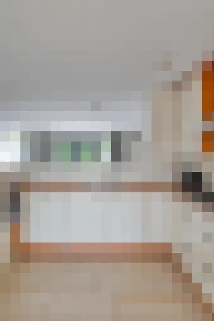 Mangoberg 1 Roosendaal thumbnail 13