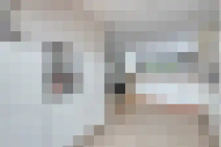 Mangoberg 1 Roosendaal thumbnail 15