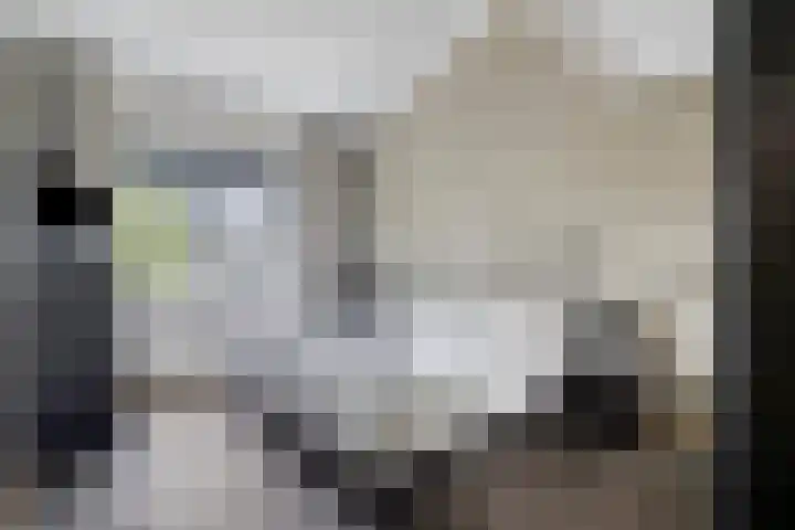 Mangoberg 1 Roosendaal thumbnail 19