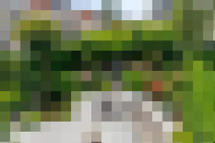 Mangoberg 1 Roosendaal thumbnail 33