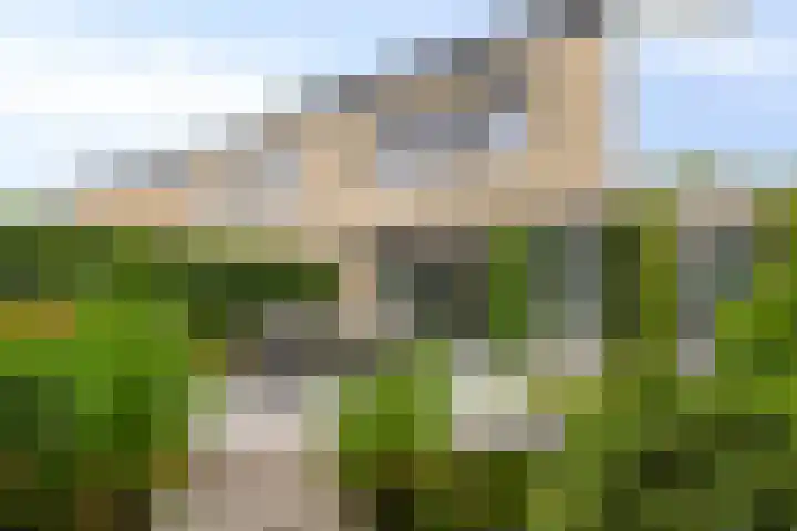 Mangoberg 1 Roosendaal thumbnail 34