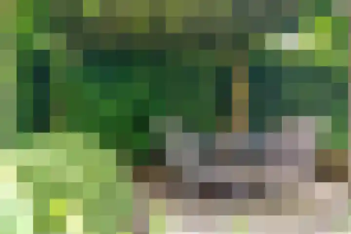 Mangoberg 1 Roosendaal thumbnail 35