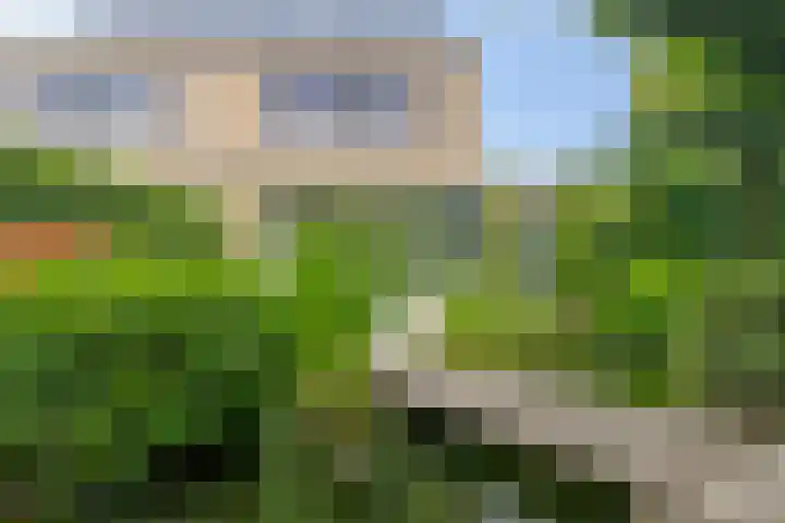 Mangoberg 1 Roosendaal thumbnail 36
