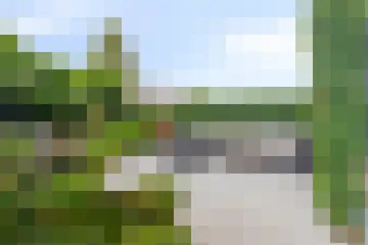 Mangoberg 1 Roosendaal thumbnail 37