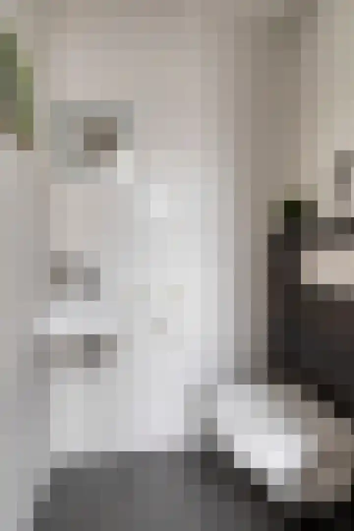 Mangoberg 1 Roosendaal thumbnail 4