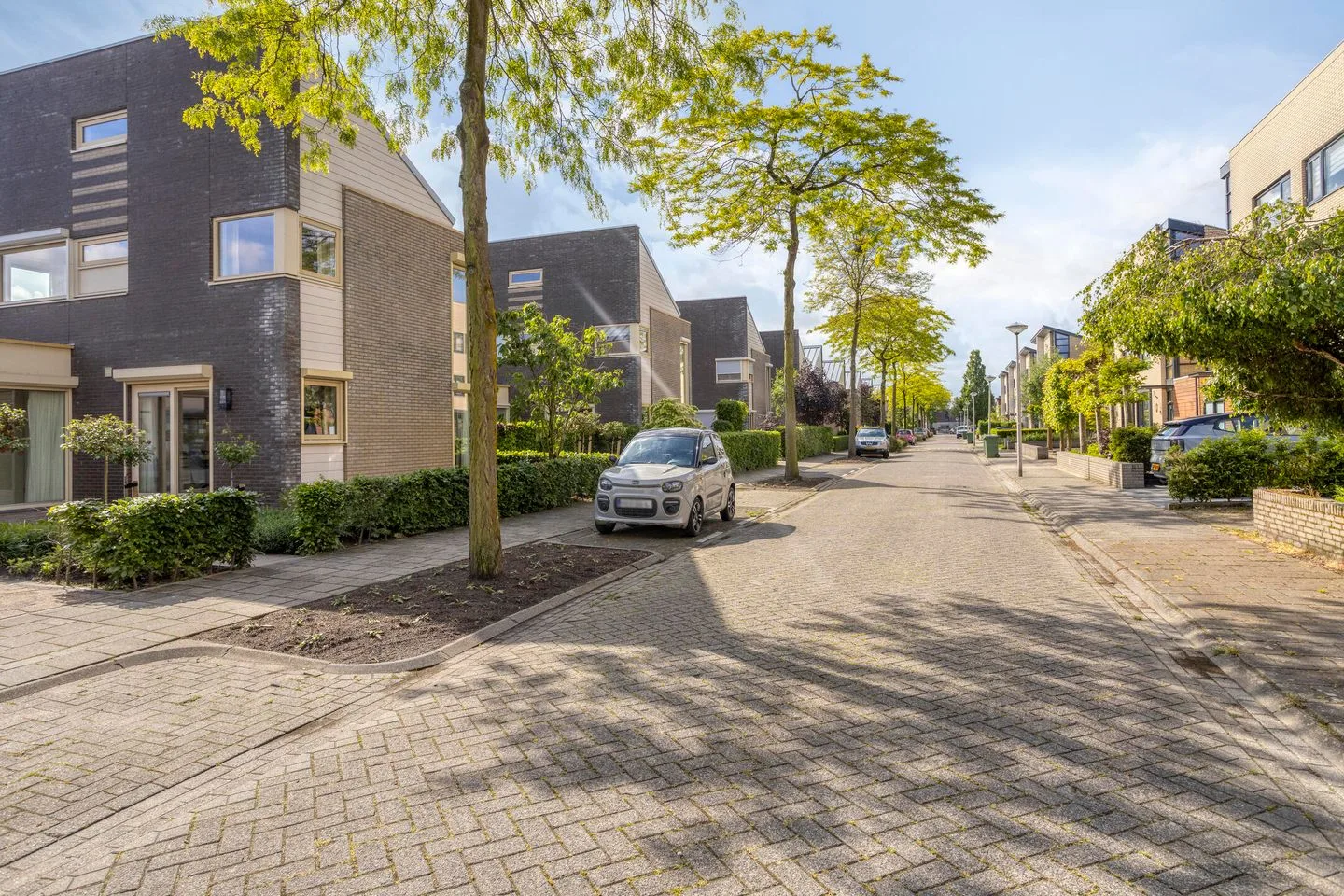 Mangoberg 18 Roosendaal thumbnail 38