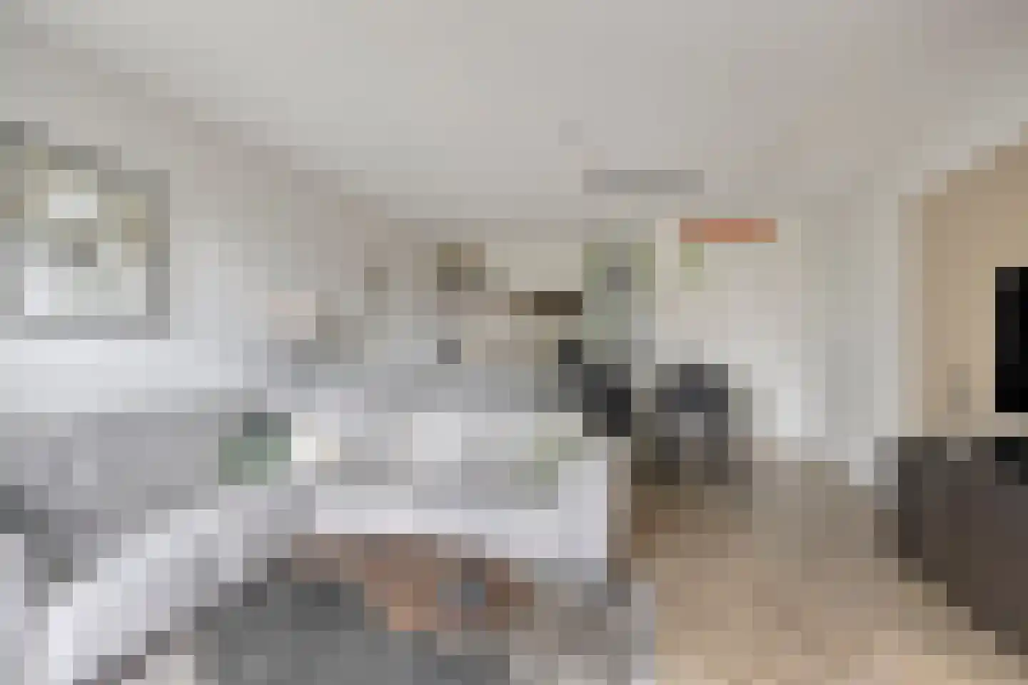 Mangoweg 17 Leiden thumbnail 4