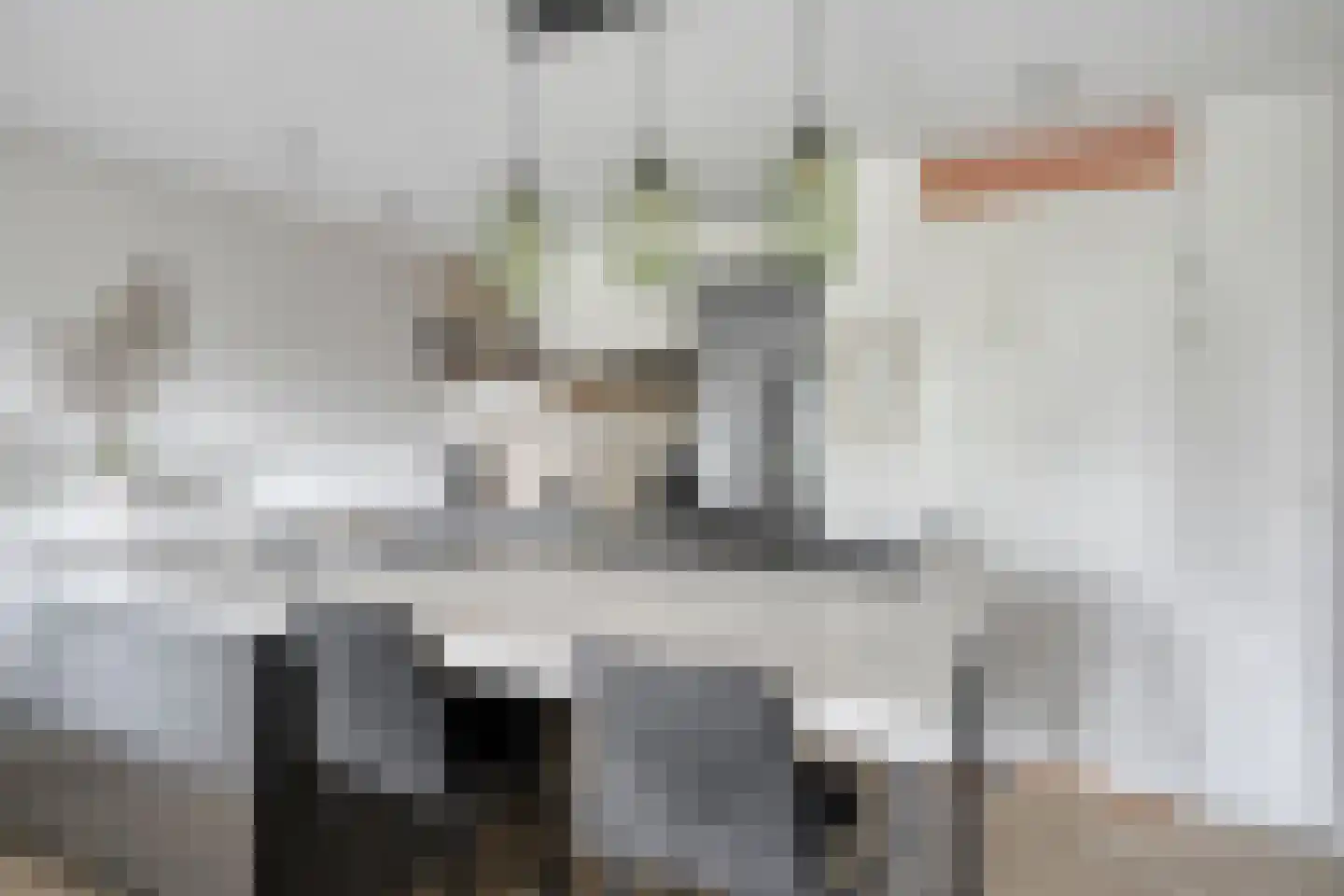 Mangoweg 17 Leiden thumbnail 6
