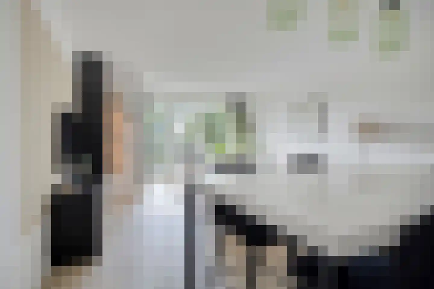 Mangoweg 17 Leiden thumbnail 7