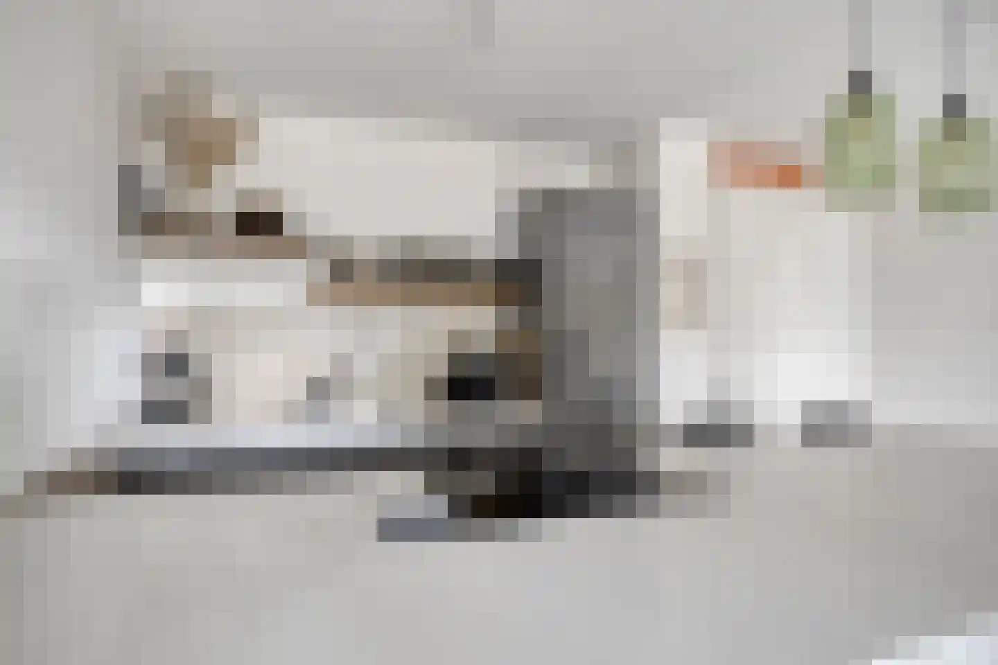 Mangoweg 17 Leiden thumbnail 8