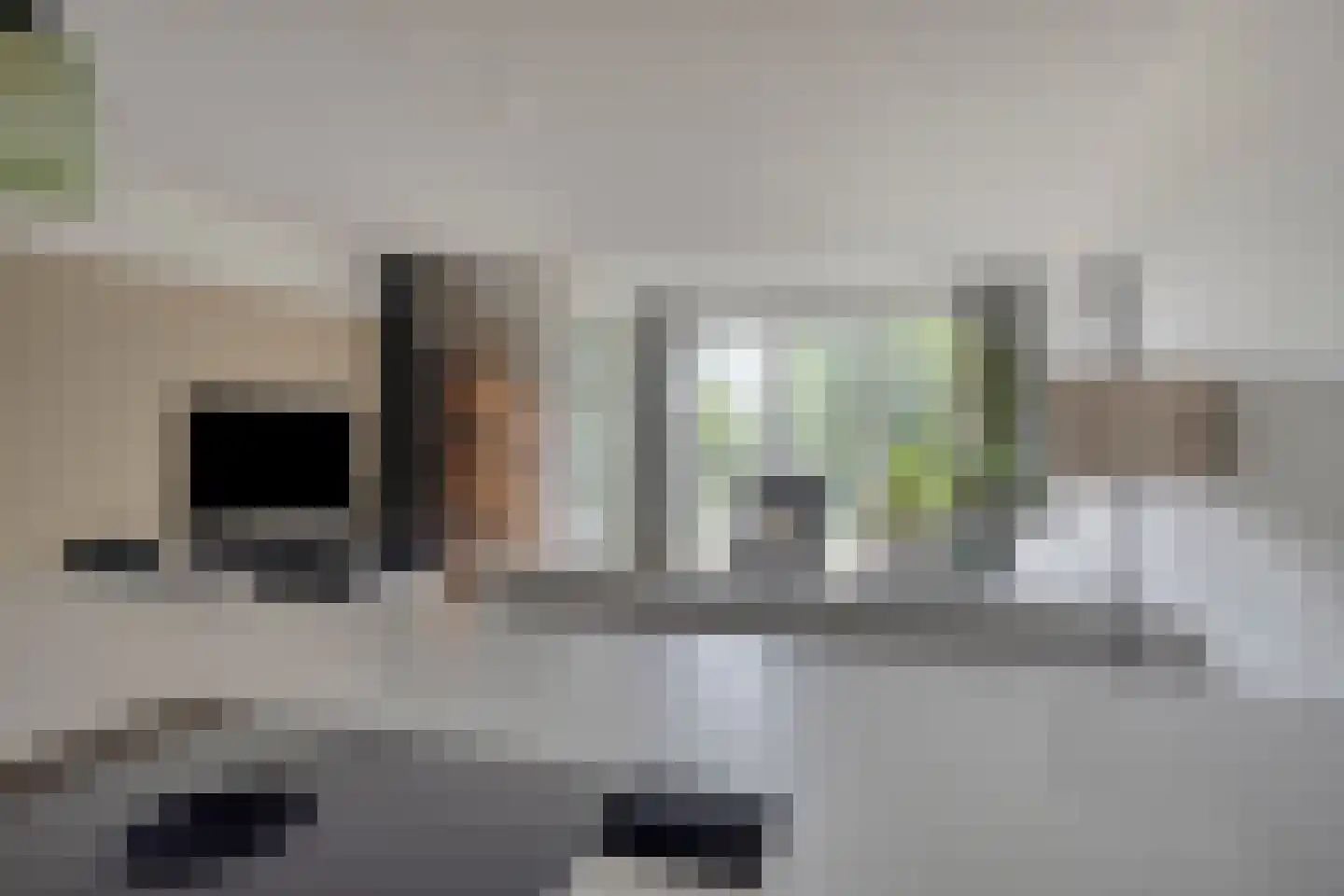 Mangoweg 17 Leiden thumbnail 9