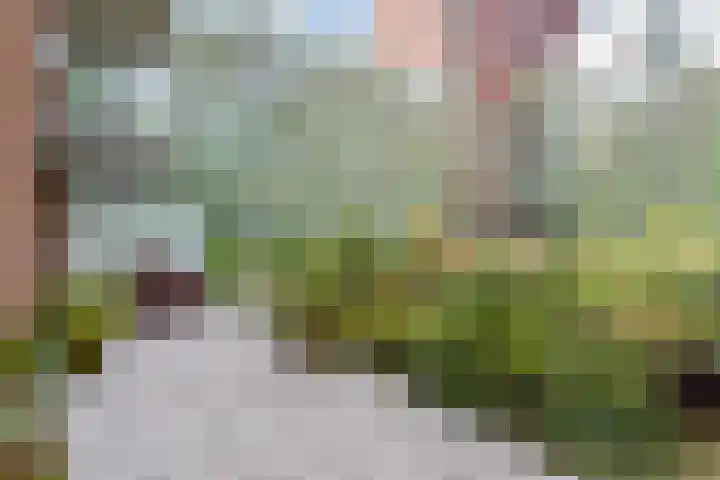 Mangoweg 177 Leiden thumbnail 39