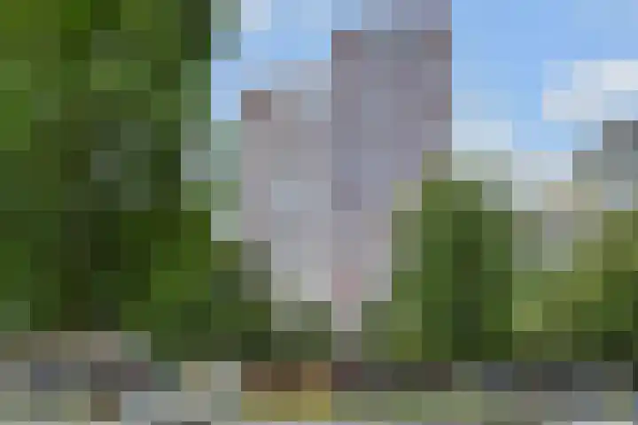Mangoweg 177 Leiden thumbnail 65