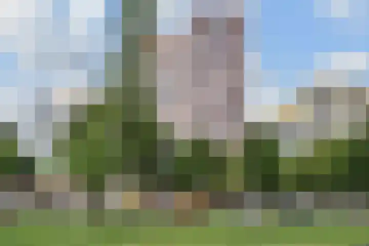 Mangoweg 177 Leiden thumbnail 7