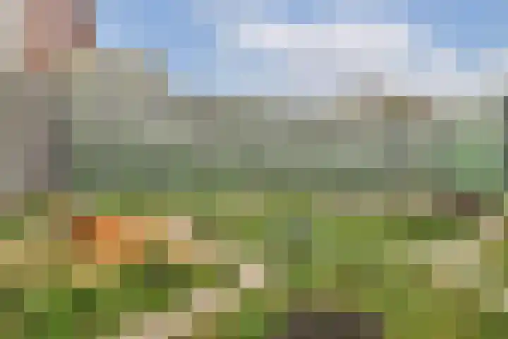 Mangoweg 187 Leiden thumbnail 15